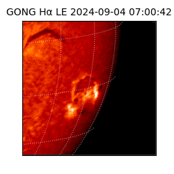 gong - 2024-09-04T07:00:42