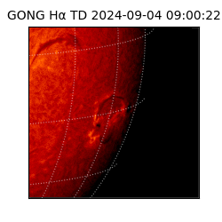 gong - 2024-09-04T09:00:22