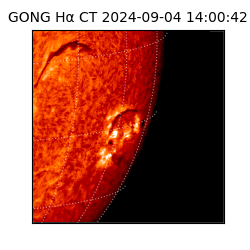 gong - 2024-09-04T14:00:42