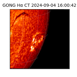 gong - 2024-09-04T16:00:42
