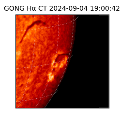 gong - 2024-09-04T19:00:42