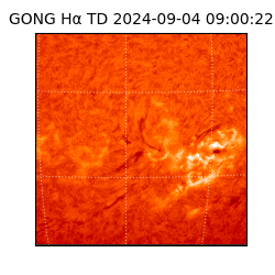 gong - 2024-09-04T09:00:22