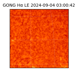 gong - 2024-09-04T03:00:42