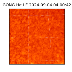 gong - 2024-09-04T04:00:42