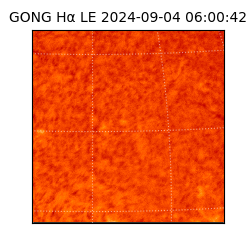 gong - 2024-09-04T06:00:42