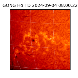 gong - 2024-09-04T08:00:22