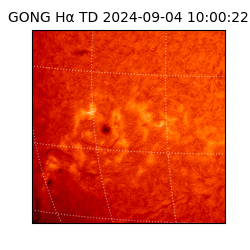 gong - 2024-09-04T10:00:22