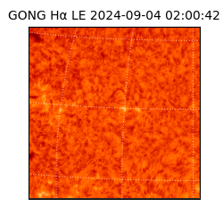 gong - 2024-09-04T02:00:42