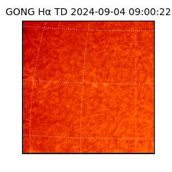 gong - 2024-09-04T09:00:22