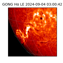 gong - 2024-09-04T03:00:42