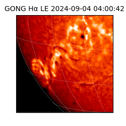 gong - 2024-09-04T04:00:42