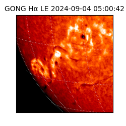 gong - 2024-09-04T05:00:42