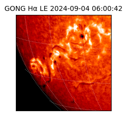 gong - 2024-09-04T06:00:42