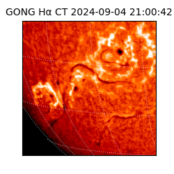 gong - 2024-09-04T21:00:42