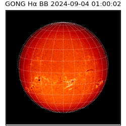 gong - 2024-09-04T01:00:02