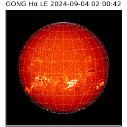 gong - 2024-09-04T02:00:42