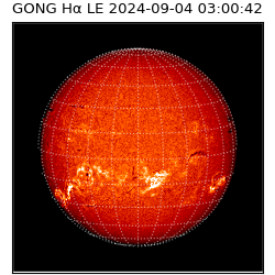 gong - 2024-09-04T03:00:42