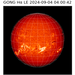 gong - 2024-09-04T04:00:42