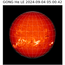 gong - 2024-09-04T05:00:42