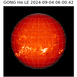 gong - 2024-09-04T06:00:42