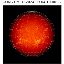 gong - 2024-09-04T10:00:22