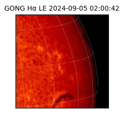 gong - 2024-09-05T02:00:42