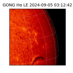 gong - 2024-09-05T03:12:42