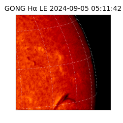 gong - 2024-09-05T05:11:42