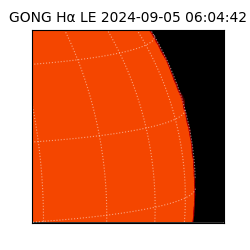 gong - 2024-09-05T06:04:42