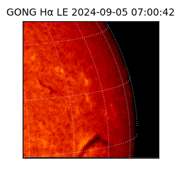 gong - 2024-09-05T07:00:42