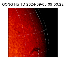 gong - 2024-09-05T09:00:22