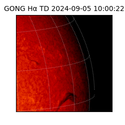 gong - 2024-09-05T10:00:22