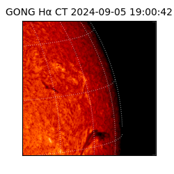 gong - 2024-09-05T19:00:42