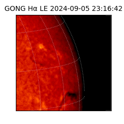 gong - 2024-09-05T23:16:42