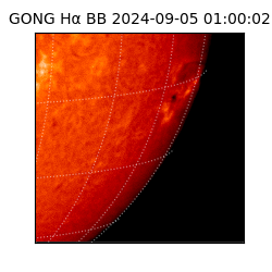 gong - 2024-09-05T01:00:02