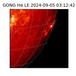 gong - 2024-09-05T03:12:42