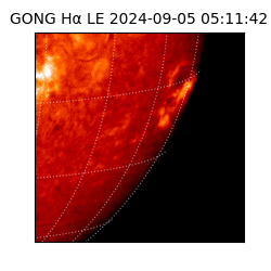 gong - 2024-09-05T05:11:42