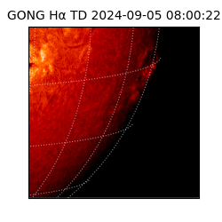 gong - 2024-09-05T08:00:22