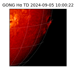 gong - 2024-09-05T10:00:22