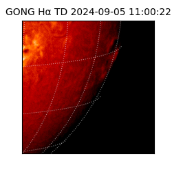 gong - 2024-09-05T11:00:22