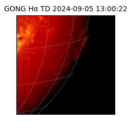 gong - 2024-09-05T13:00:22