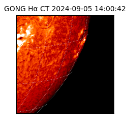 gong - 2024-09-05T14:00:42