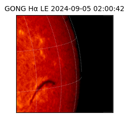 gong - 2024-09-05T02:00:42