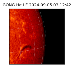 gong - 2024-09-05T03:12:42