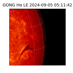 gong - 2024-09-05T05:11:42