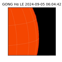 gong - 2024-09-05T06:04:42