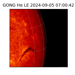 gong - 2024-09-05T07:00:42