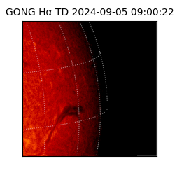 gong - 2024-09-05T09:00:22