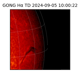 gong - 2024-09-05T10:00:22