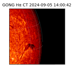 gong - 2024-09-05T14:00:42